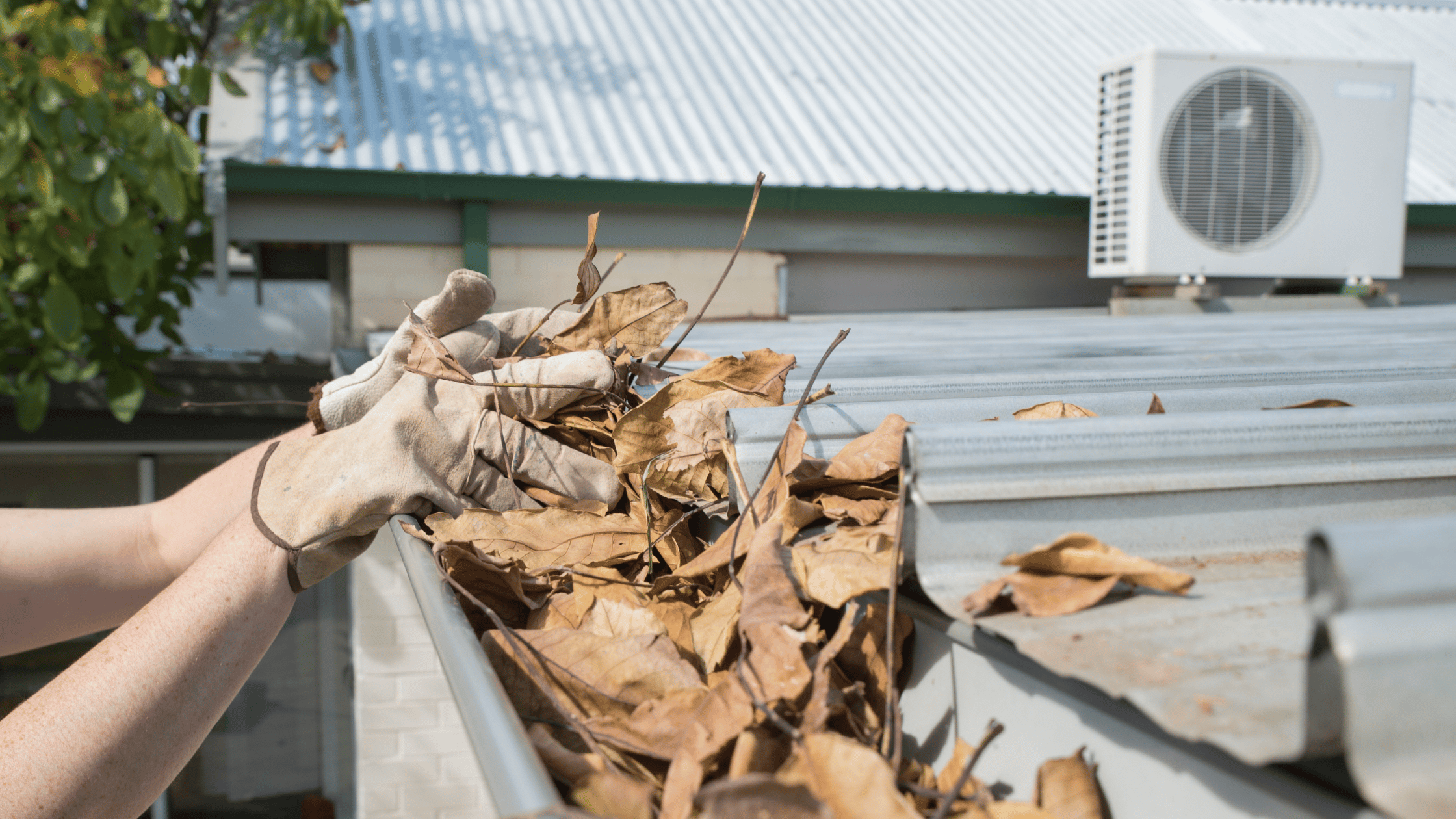 5 Reasons Why You Need To Keep Your Gutters Clean Now | Central Roofing ...